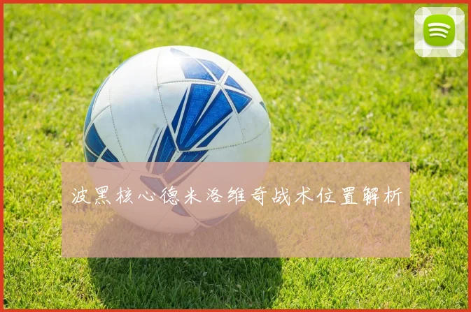 波黑核心德米洛维奇战术位置解析
