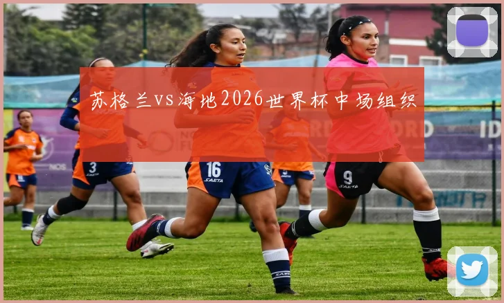 苏格兰vs海地2026世界杯中场组织