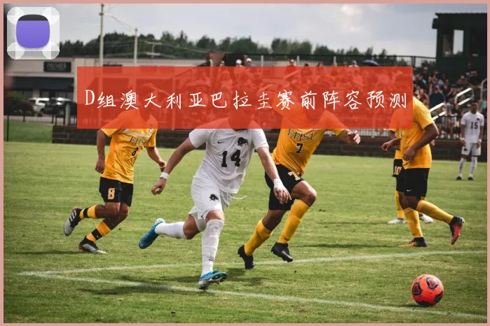 D组澳大利亚巴拉圭赛前阵容预测